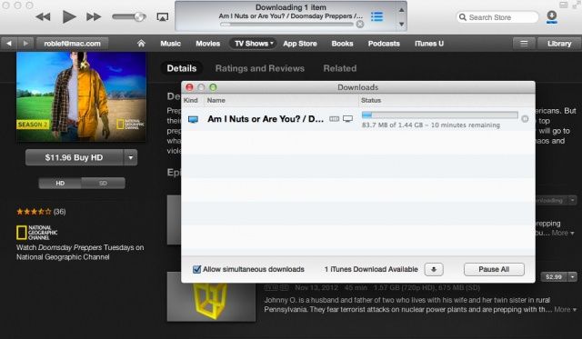 iTunes download manager